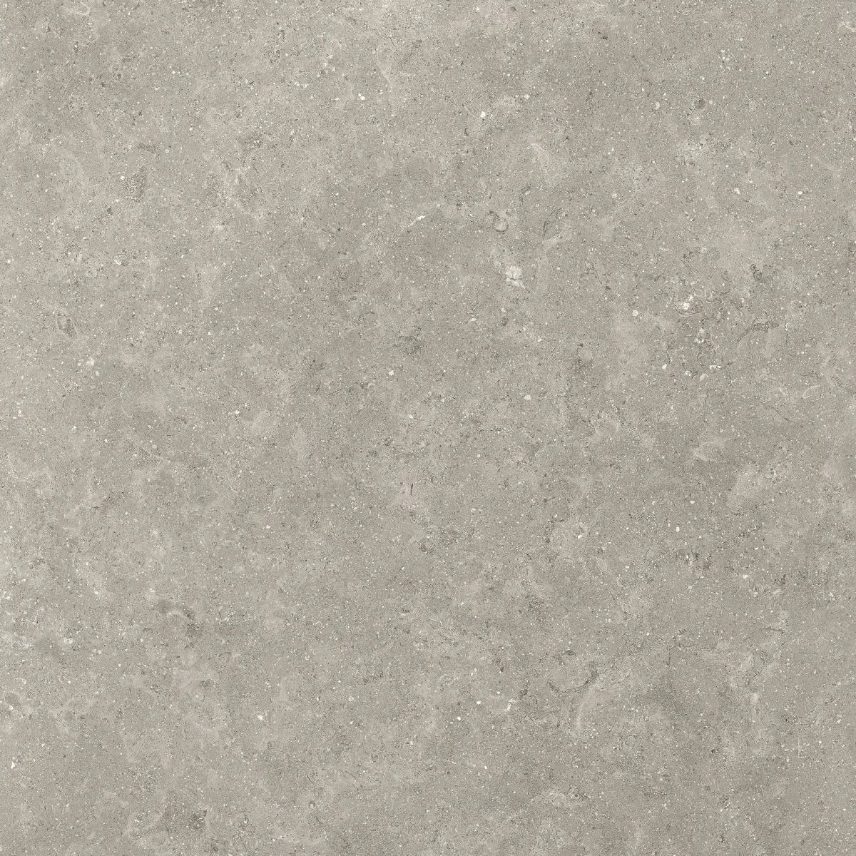 LIMESTONE ENGLISH GREY NATURALE RETTIFICATO 120X120 - CERAMICHE PIEMME